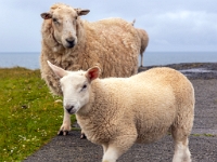 Isle of Skye, Neist Point